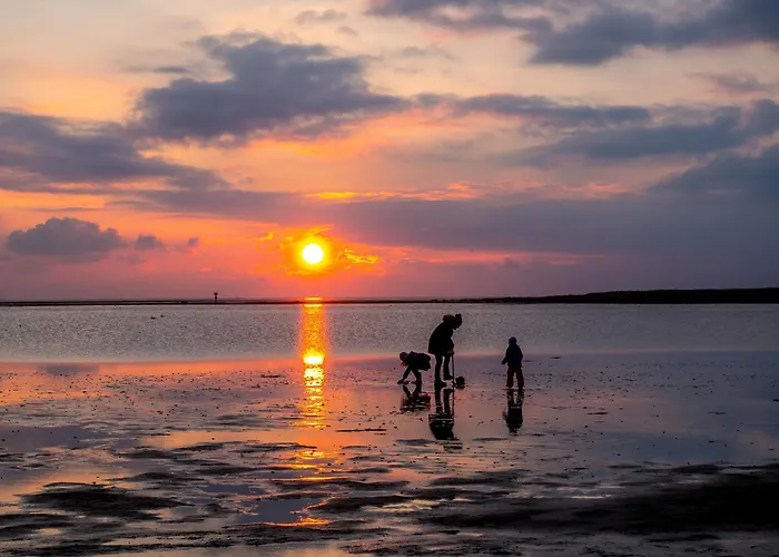 Edi-oehmsen 01 بيت للعطل دورم نيوفيلد